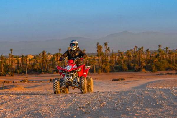 Quad Ride in Marrakech Palm grove
